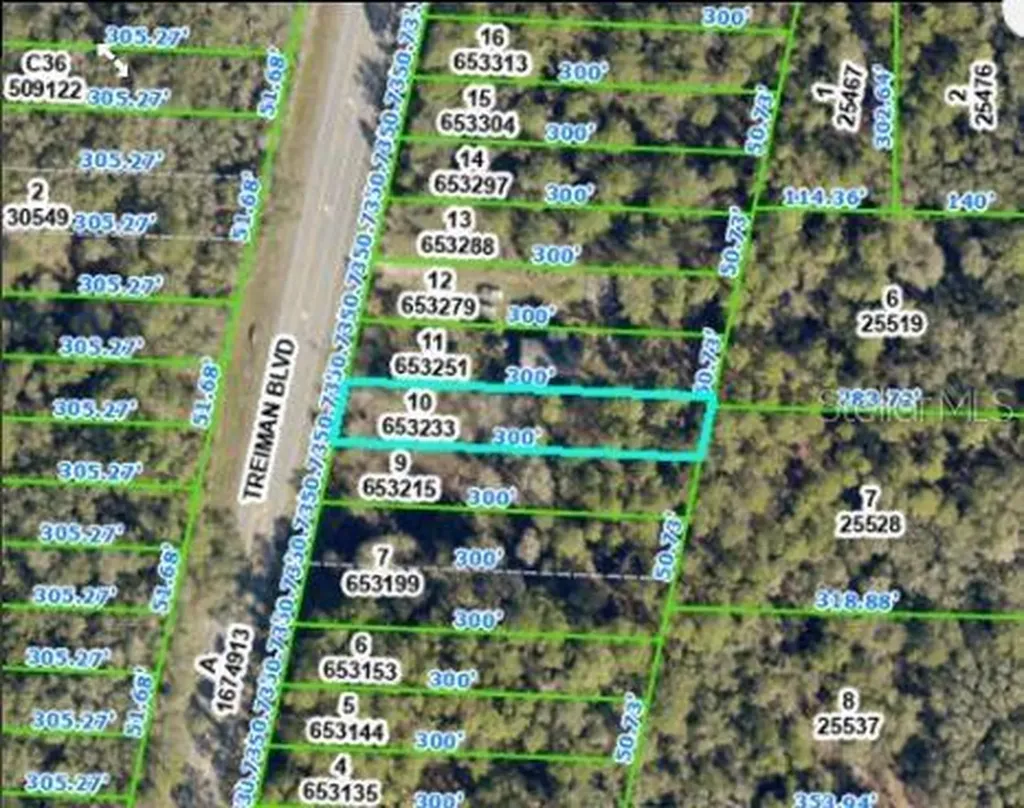 7338 Treiman Boulevard Webster FL 33597