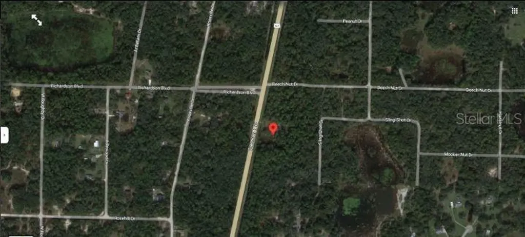 7338 Treiman Boulevard Webster FL 33597