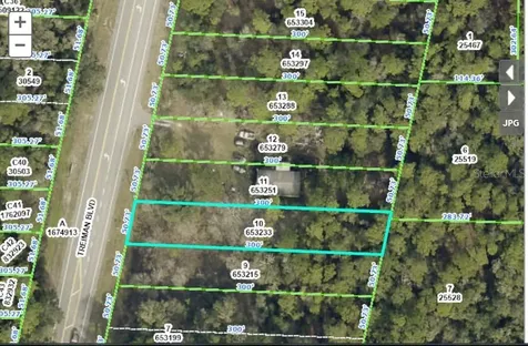 7338 Treiman Boulevard Webster FL 33597