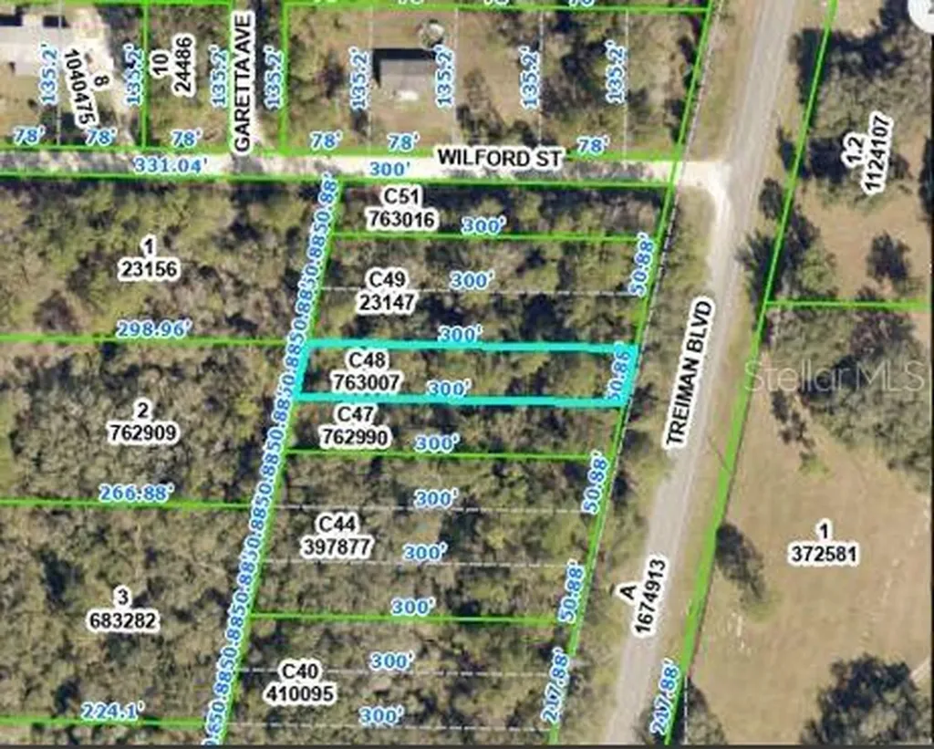 Treiman Boulevard Webster FL 33597