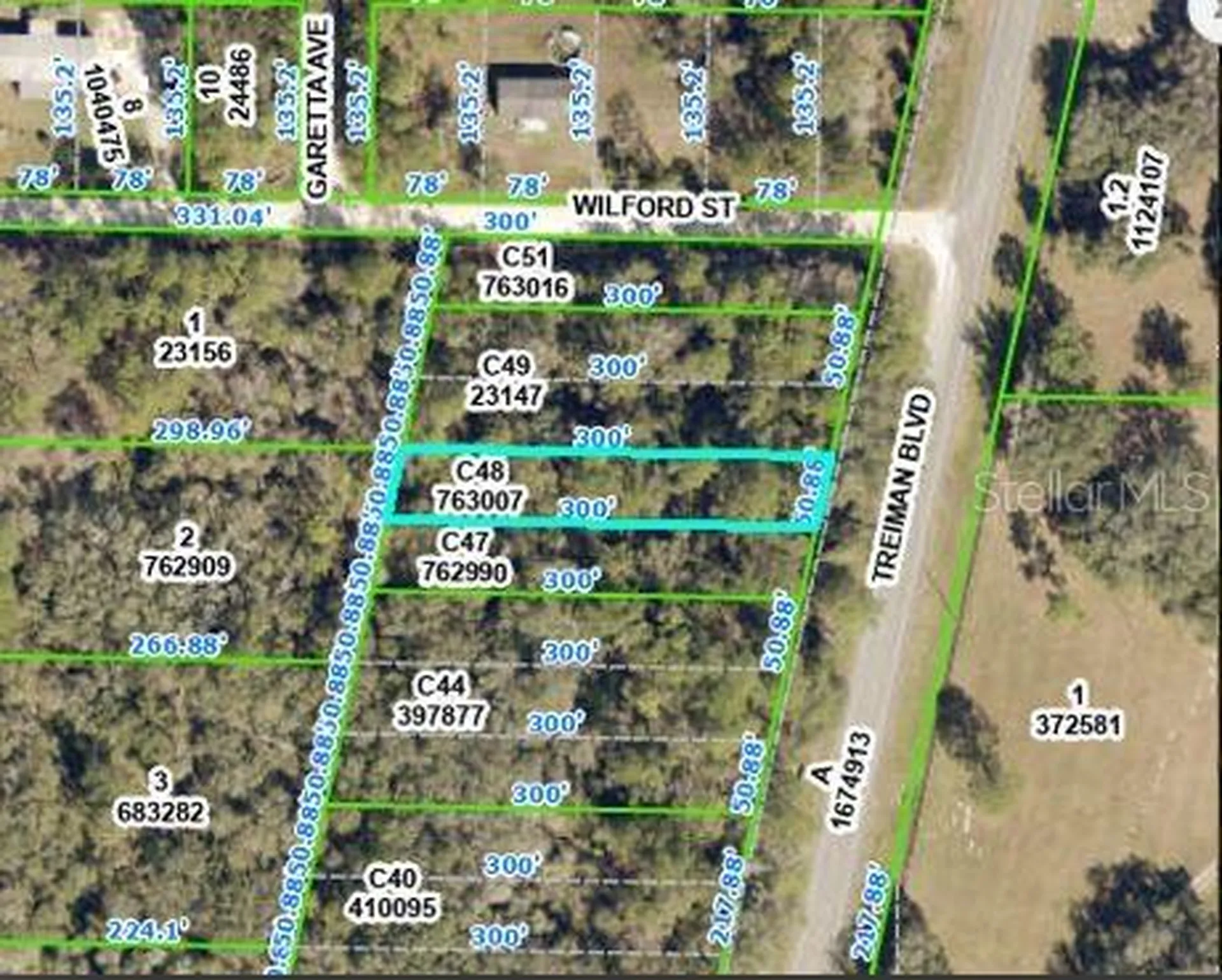 Treiman Boulevard Webster FL 33597