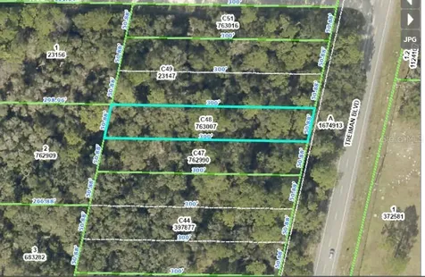 Treiman Boulevard Webster FL 33597