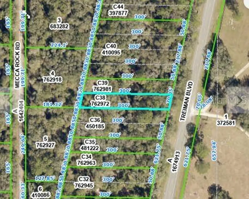 Treiman Boulevard Webster FL 33597