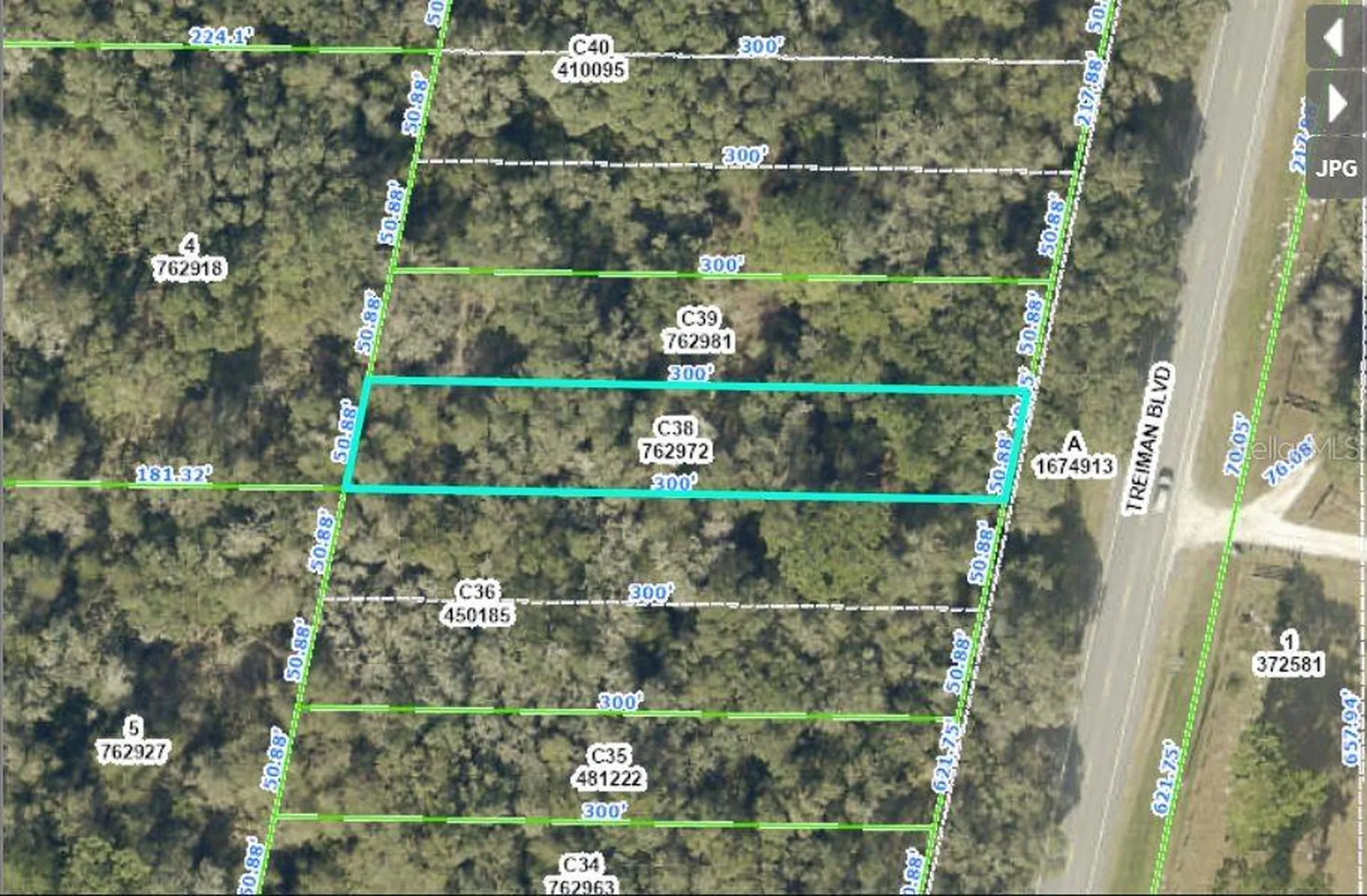 Treiman Boulevard Webster FL 33597
