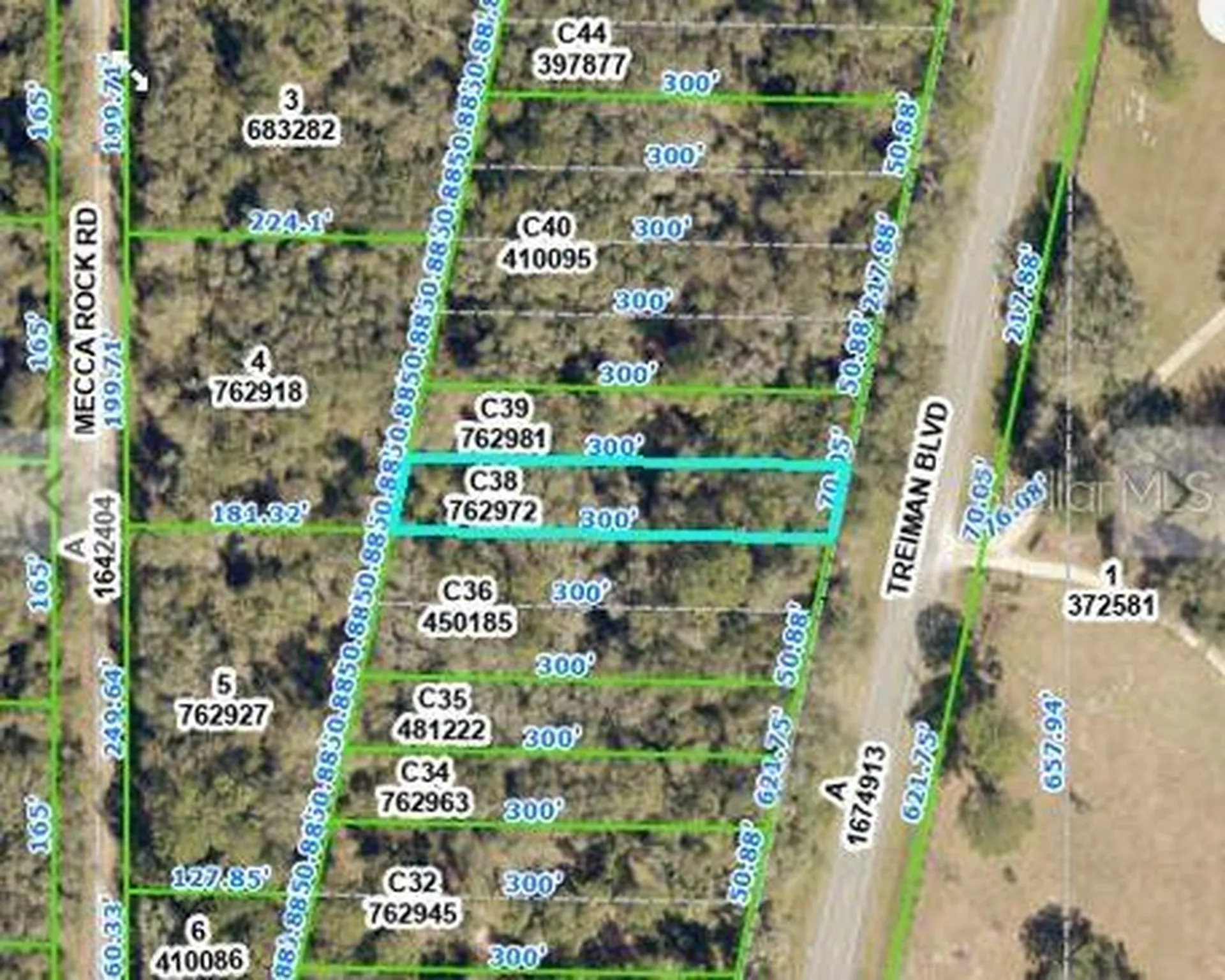 Treiman Boulevard Webster FL 33597