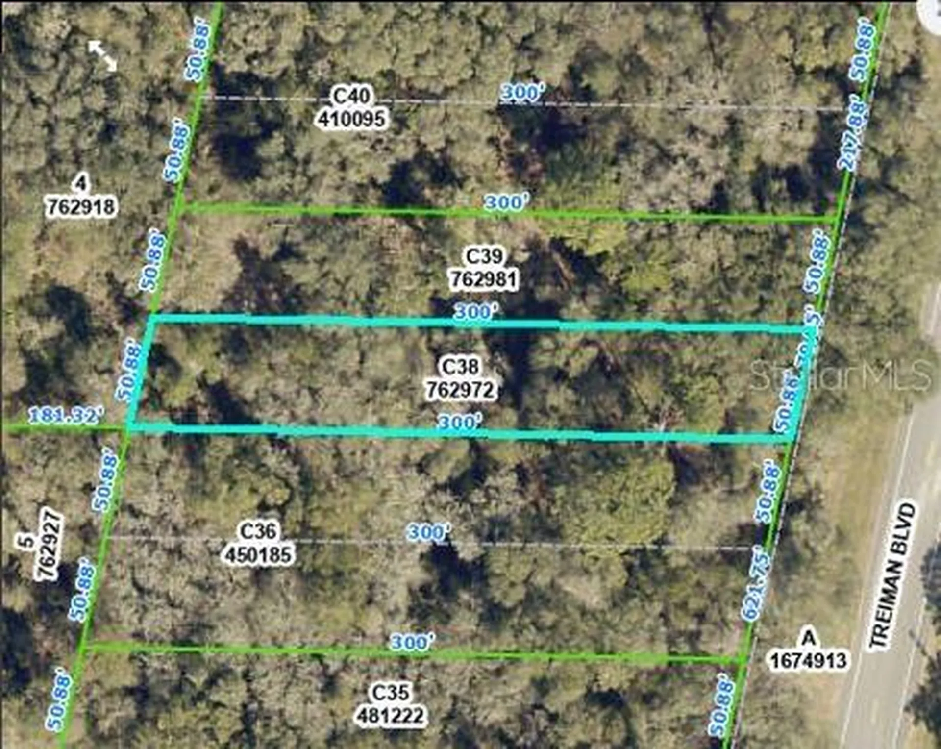 Treiman Boulevard Webster FL 33597