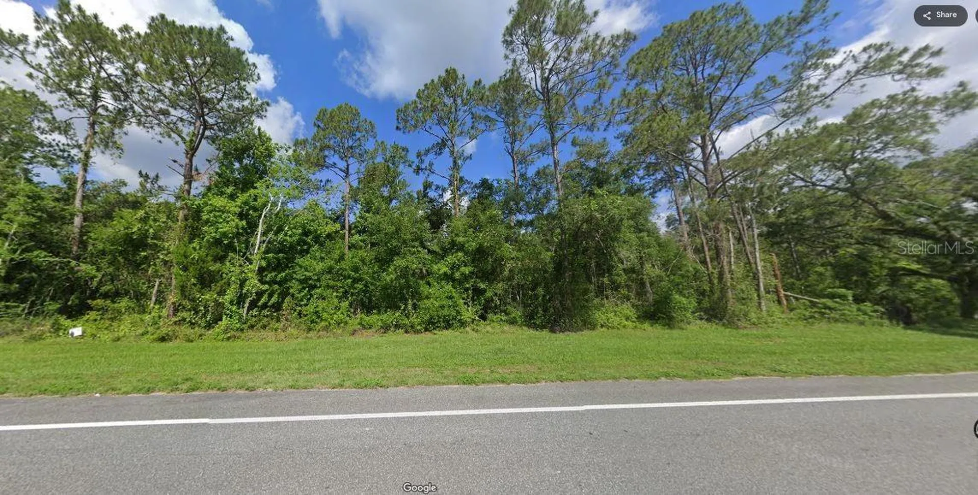 Treiman Boulevard Webster FL 33597