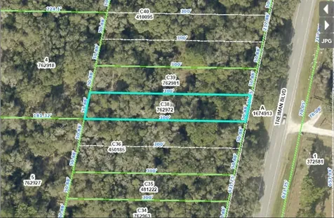 Treiman Boulevard Webster FL 33597