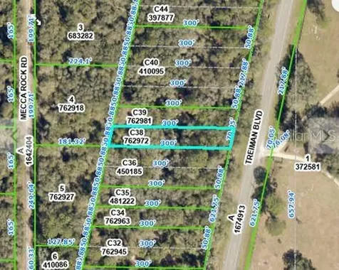 Treiman Boulevard Webster FL 33597