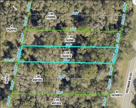 Treiman Boulevard Webster FL 33597