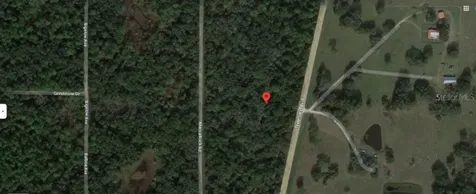 Treiman Boulevard Webster FL 33597