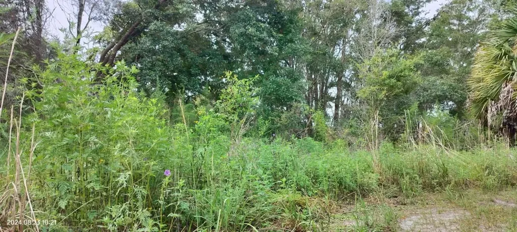 96 N Sheltering Oaks Drive Inverness FL 34453