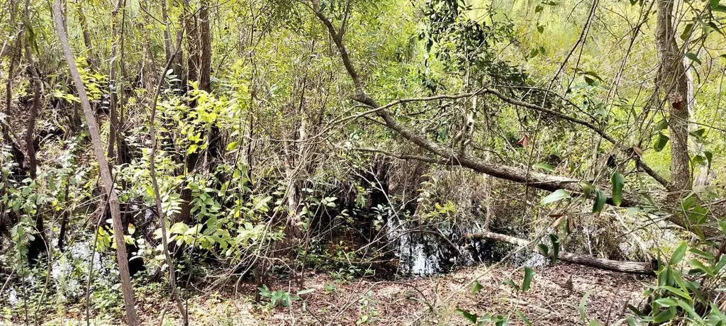 96 N Sheltering Oaks Drive Inverness FL 34453