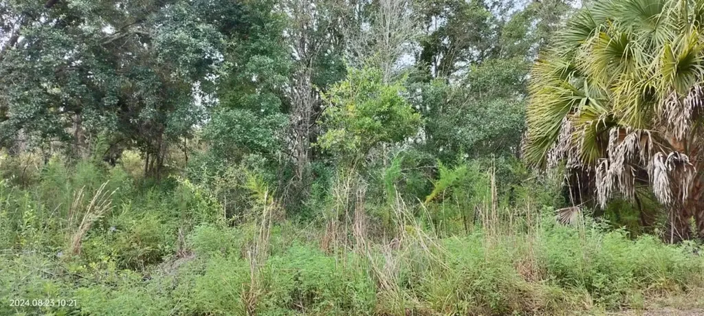 96 N Sheltering Oaks Drive Inverness FL 34453
