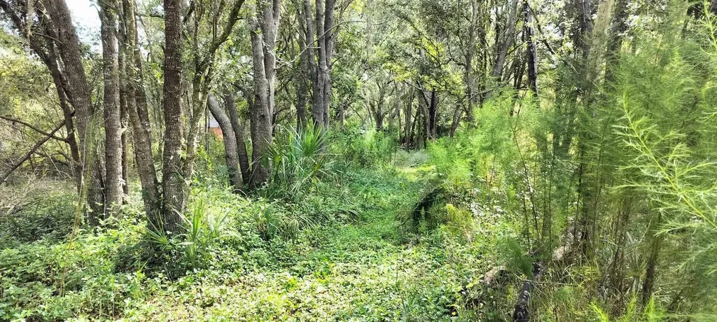 96 N Sheltering Oaks Drive Inverness FL 34453