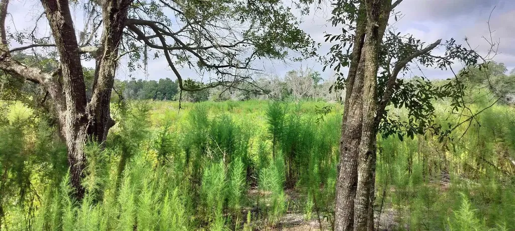 96 N Sheltering Oaks Drive Inverness FL 34453