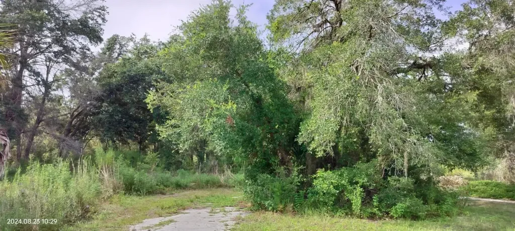 96 N Sheltering Oaks Drive Inverness FL 34453