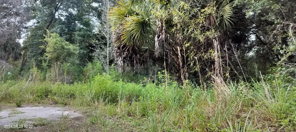 96 N Sheltering Oaks Drive Inverness FL 34453