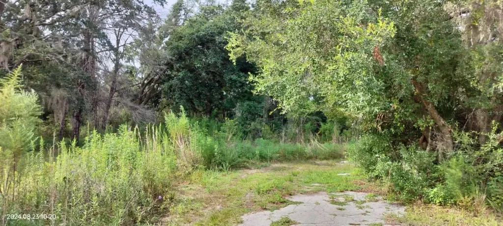 96 N Sheltering Oaks Drive Inverness FL 34453