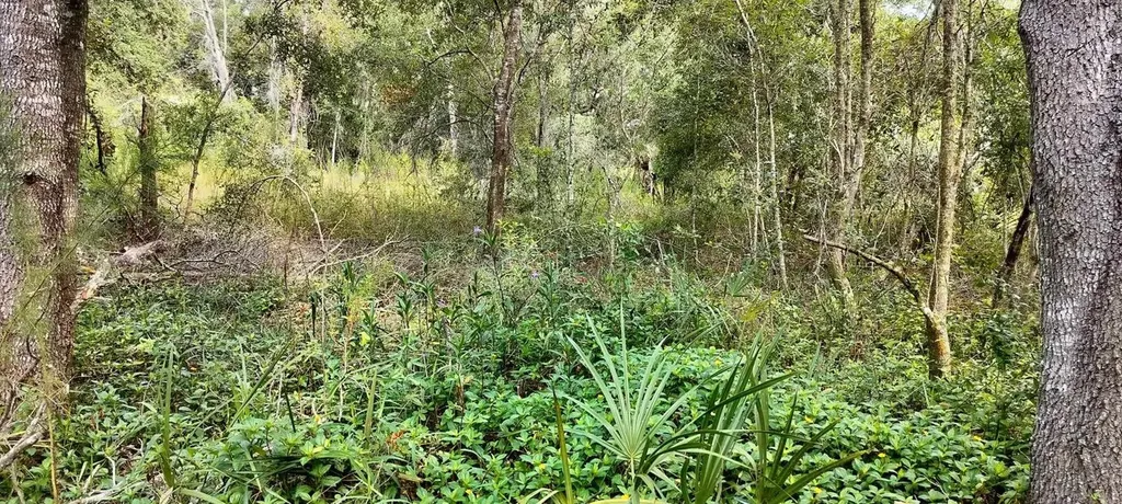 96 N Sheltering Oaks Drive Inverness FL 34453