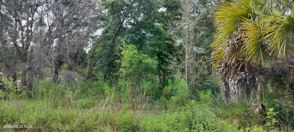 96 N Sheltering Oaks Drive Inverness FL 34453