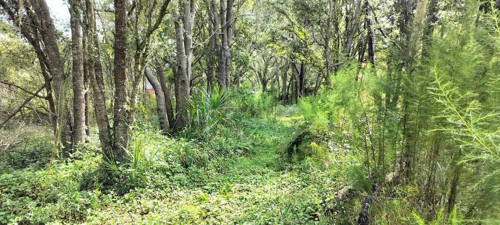 96 N Sheltering Oaks Drive Inverness FL 34453