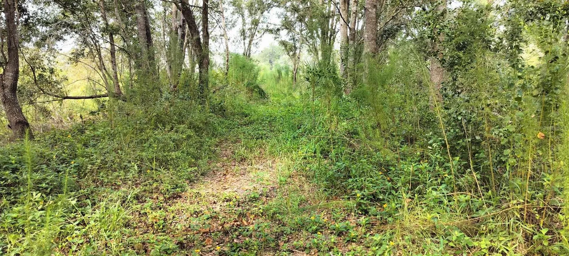 96 N Sheltering Oaks Drive Inverness FL 34453