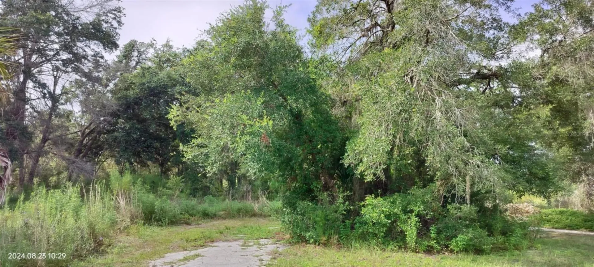96 N Sheltering Oaks Drive Inverness FL 34453