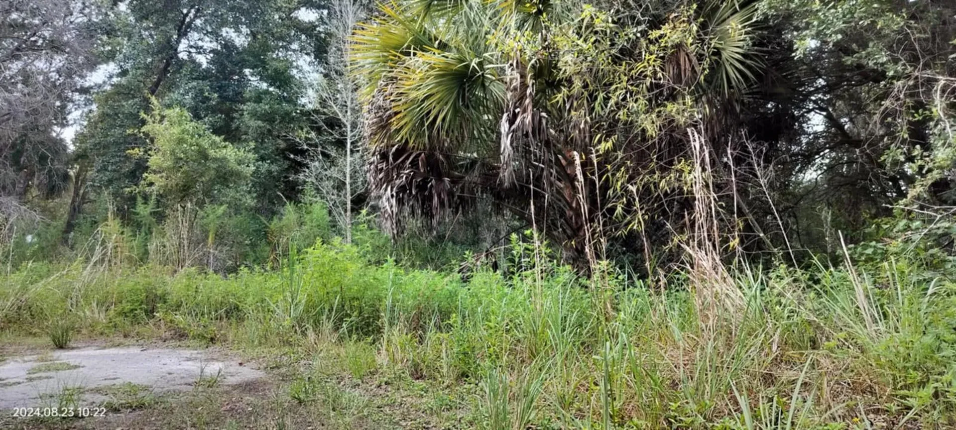 96 N Sheltering Oaks Drive Inverness FL 34453