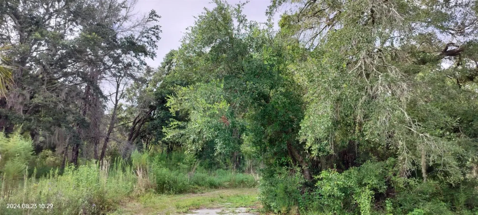 96 N Sheltering Oaks Drive Inverness FL 34453
