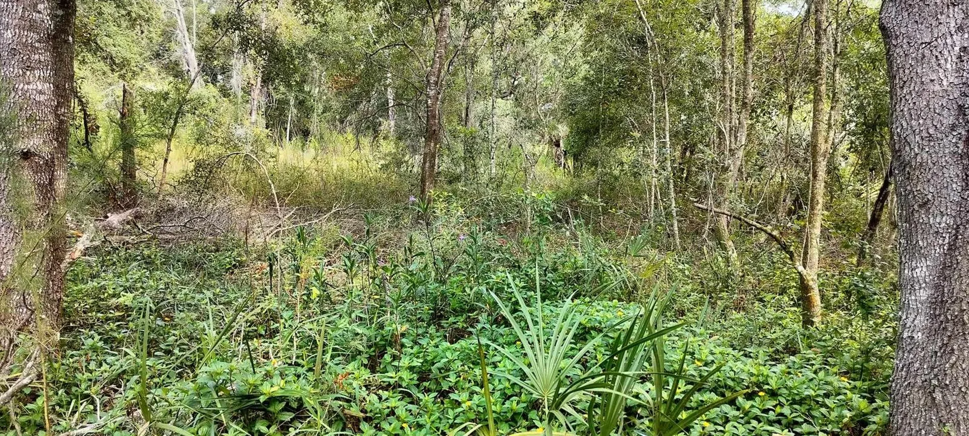 96 N Sheltering Oaks Drive Inverness FL 34453