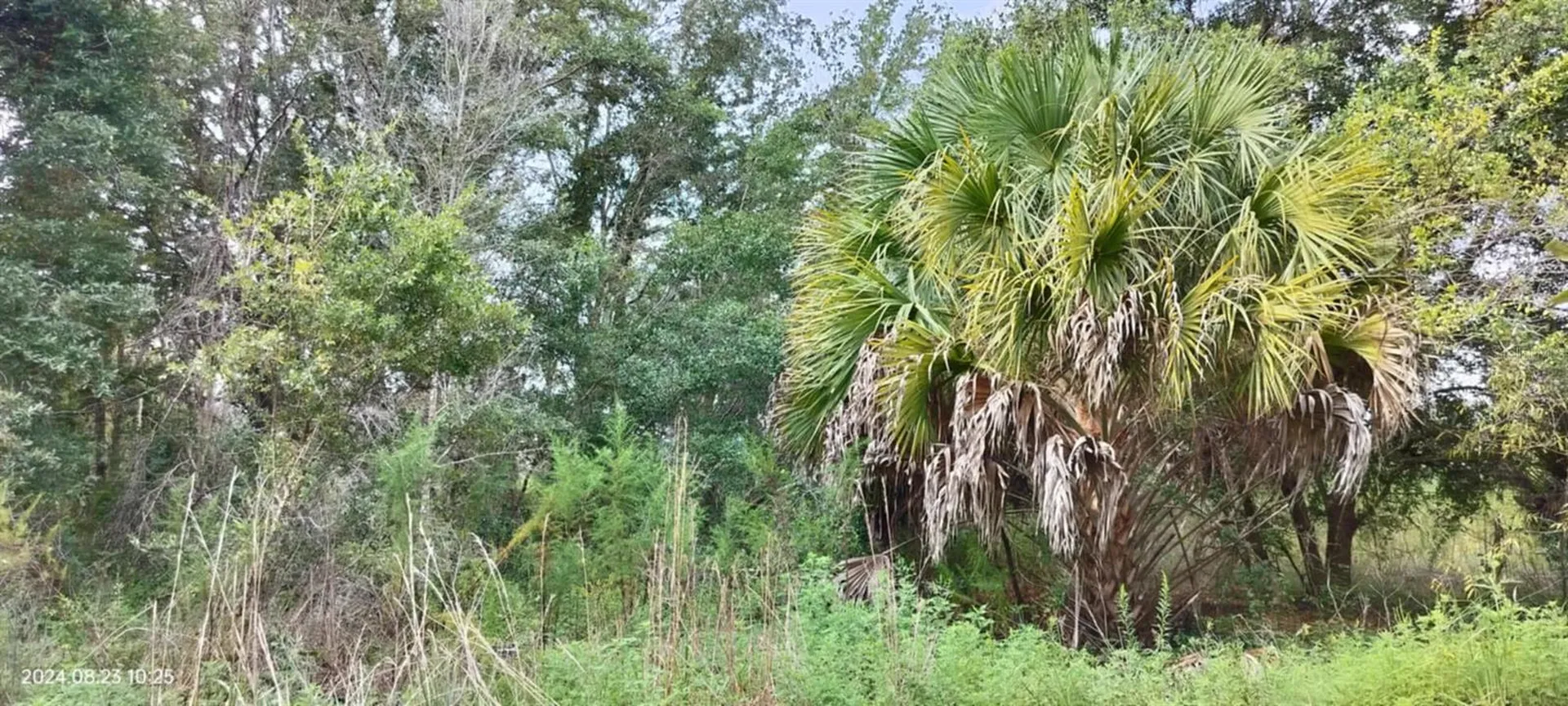 96 N Sheltering Oaks Drive Inverness FL 34453