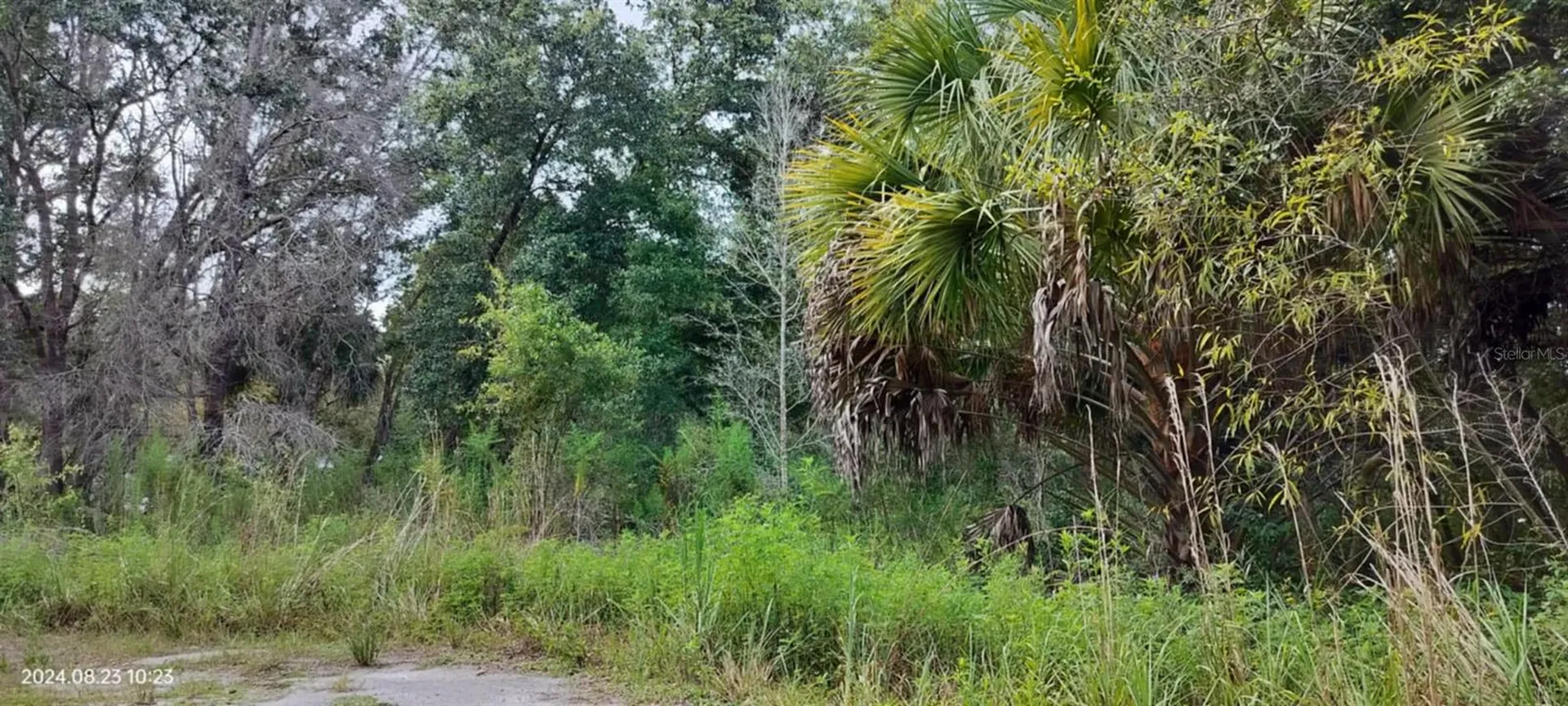 96 N Sheltering Oaks Drive Inverness FL 34453