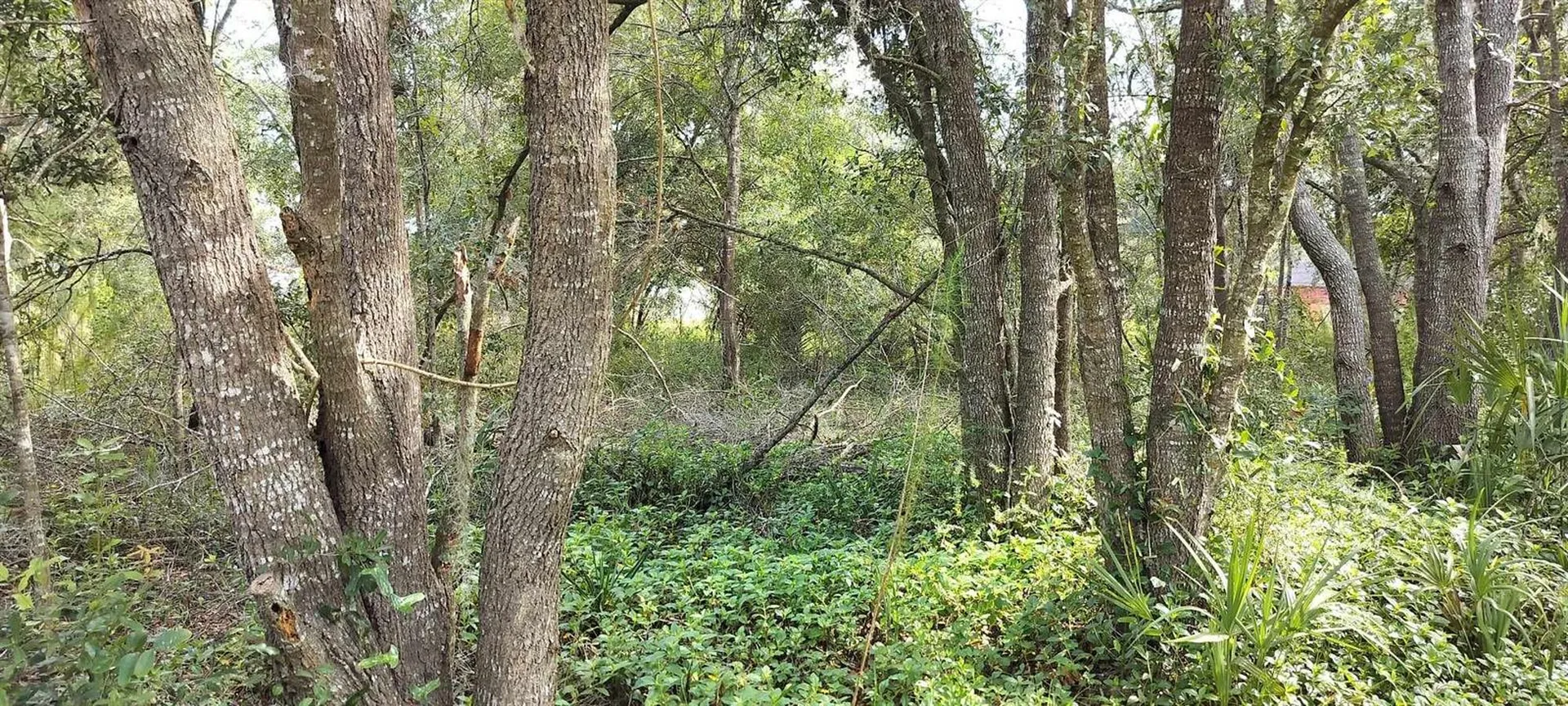 96 N Sheltering Oaks Drive Inverness FL 34453