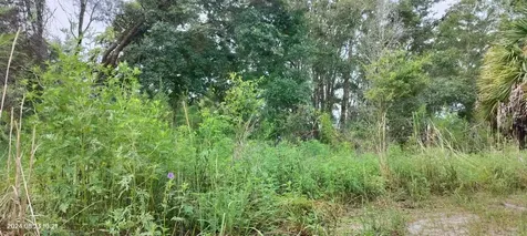 96 N Sheltering Oaks Drive Inverness FL 34453