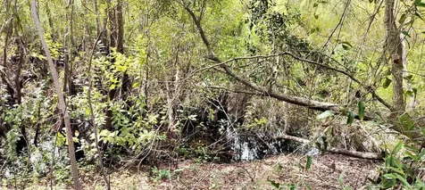 96 N Sheltering Oaks Drive Inverness FL 34453