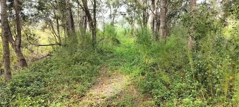 96 N Sheltering Oaks Drive Inverness FL 34453