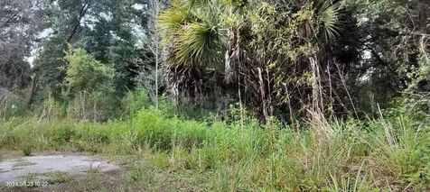 96 N Sheltering Oaks Drive Inverness FL 34453