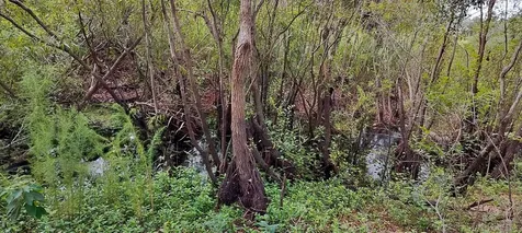 96 N Sheltering Oaks Drive Inverness FL 34453