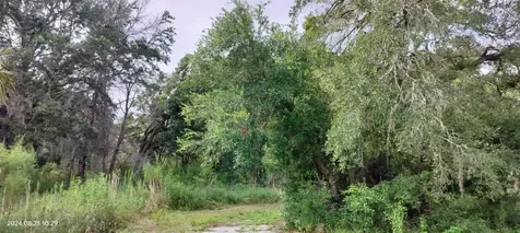 96 N Sheltering Oaks Drive Inverness FL 34453