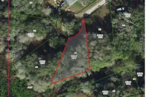 96 N Sheltering Oaks Drive Inverness FL 34453