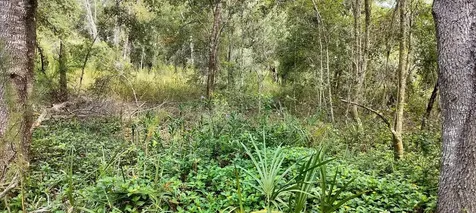 96 N Sheltering Oaks Drive Inverness FL 34453
