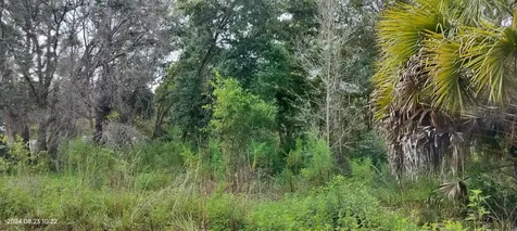 96 N Sheltering Oaks Drive Inverness FL 34453