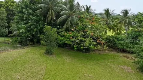 Calle 1 Ingenio Hacienda Margarita Luquillo PR 00773