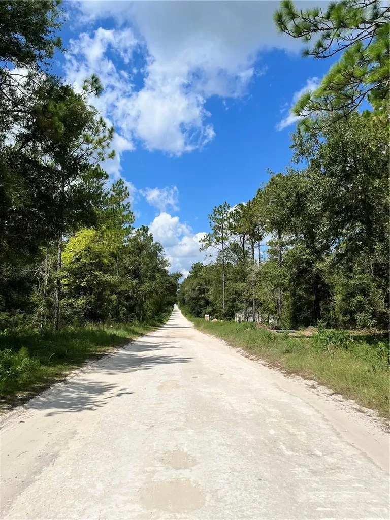 Tbd SW 156th Court Ocala FL 34481