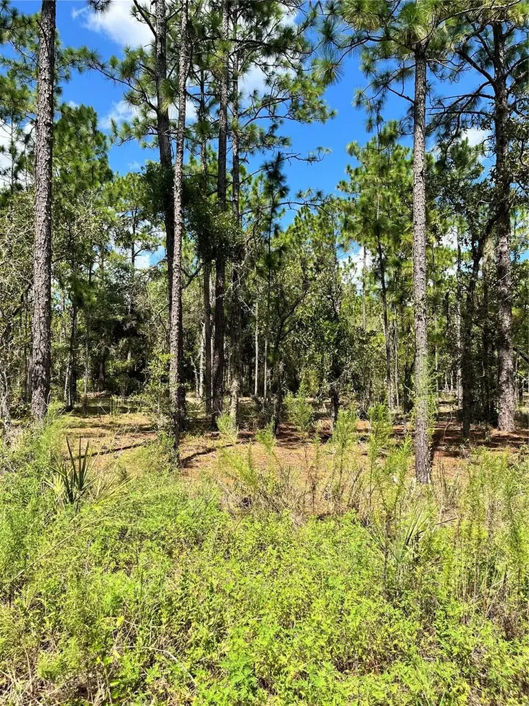 Tbd SW 156th Court Ocala FL 34481