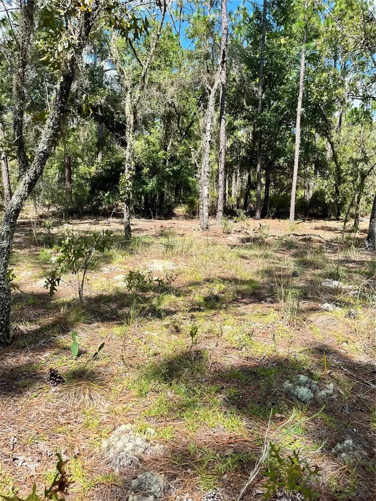 Tbd SW 156th Court Ocala FL 34481
