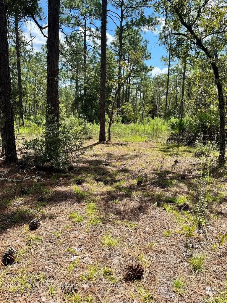 Tbd SW 156th Court Ocala FL 34481