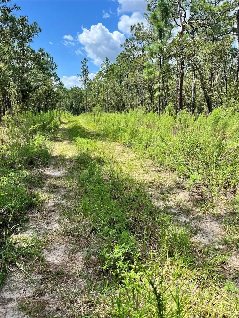 Tbd SW 156th Court Ocala FL 34481