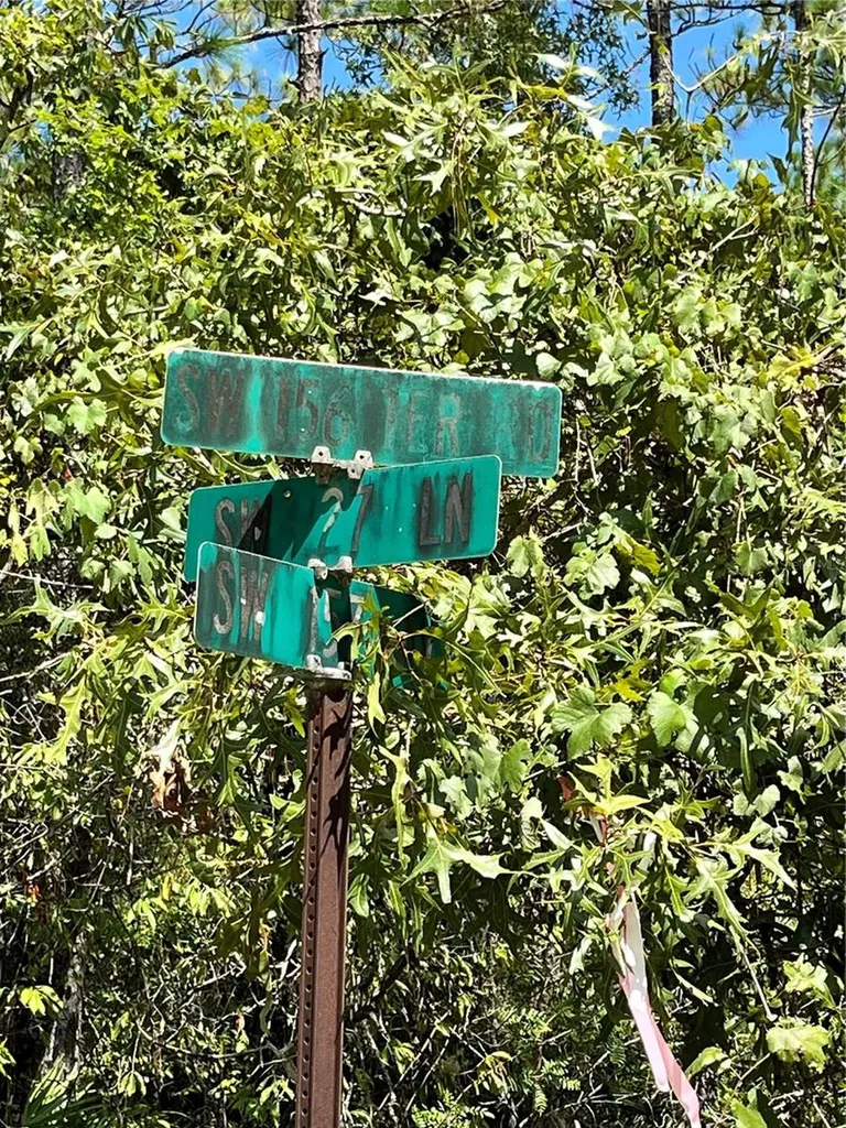 Tbd SW 156th Court Ocala FL 34481